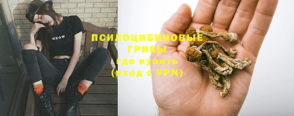 спайс Дмитриев