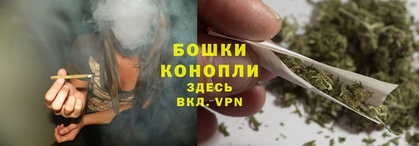 спайс Дмитриев