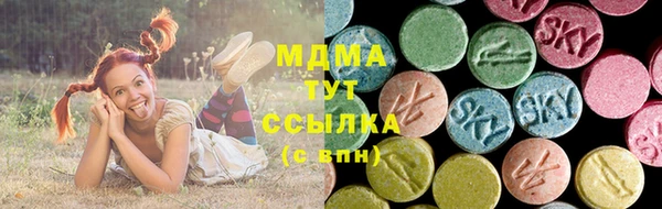 хмурый Дмитров
