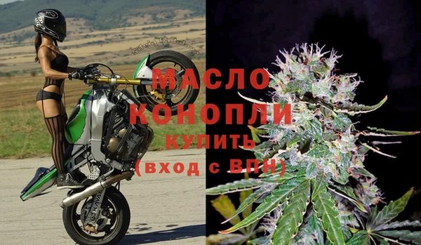хмурый Дмитров