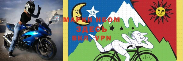 хмурый Дмитров