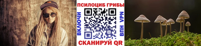 купить   MEGA как зайти  Псилоцибиновые грибы мицелий  Каргополь 